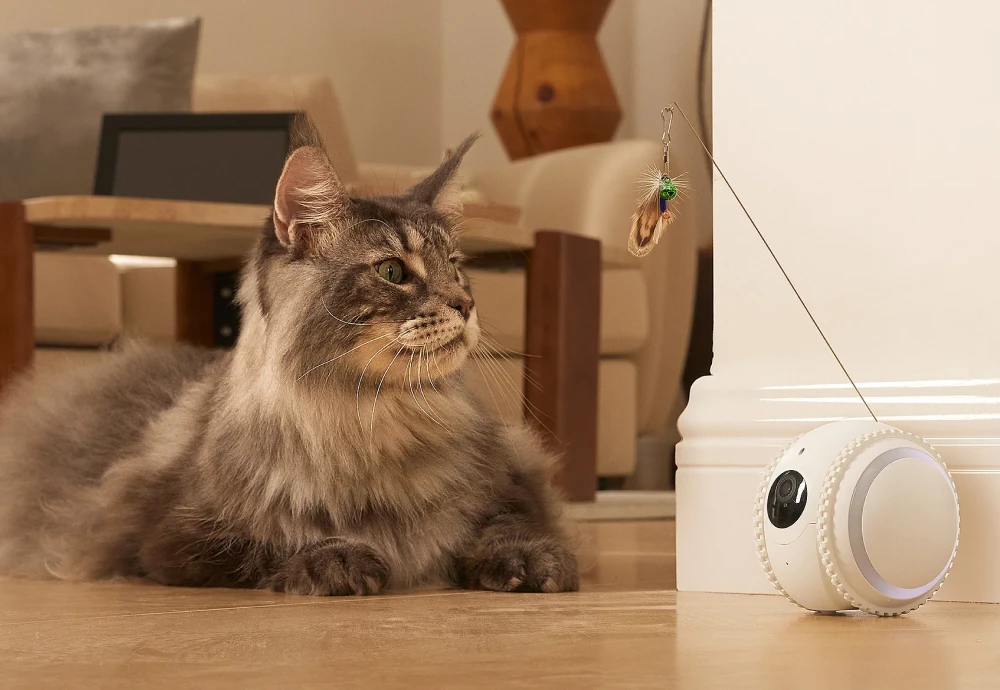 best interactive pet camera