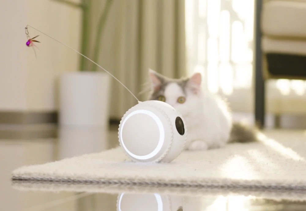 wireless pet camera