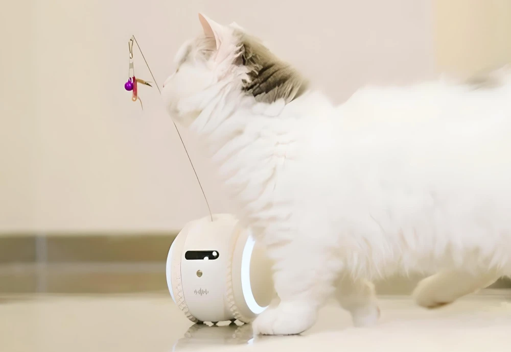 best pet cameras for cats