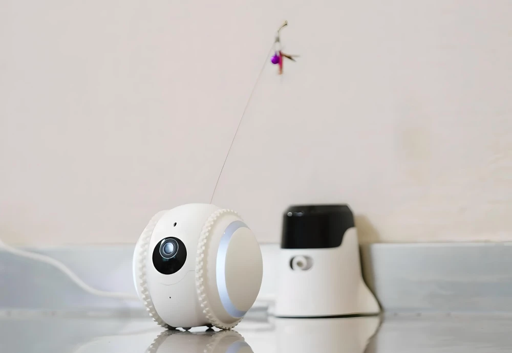 pet camera that moves