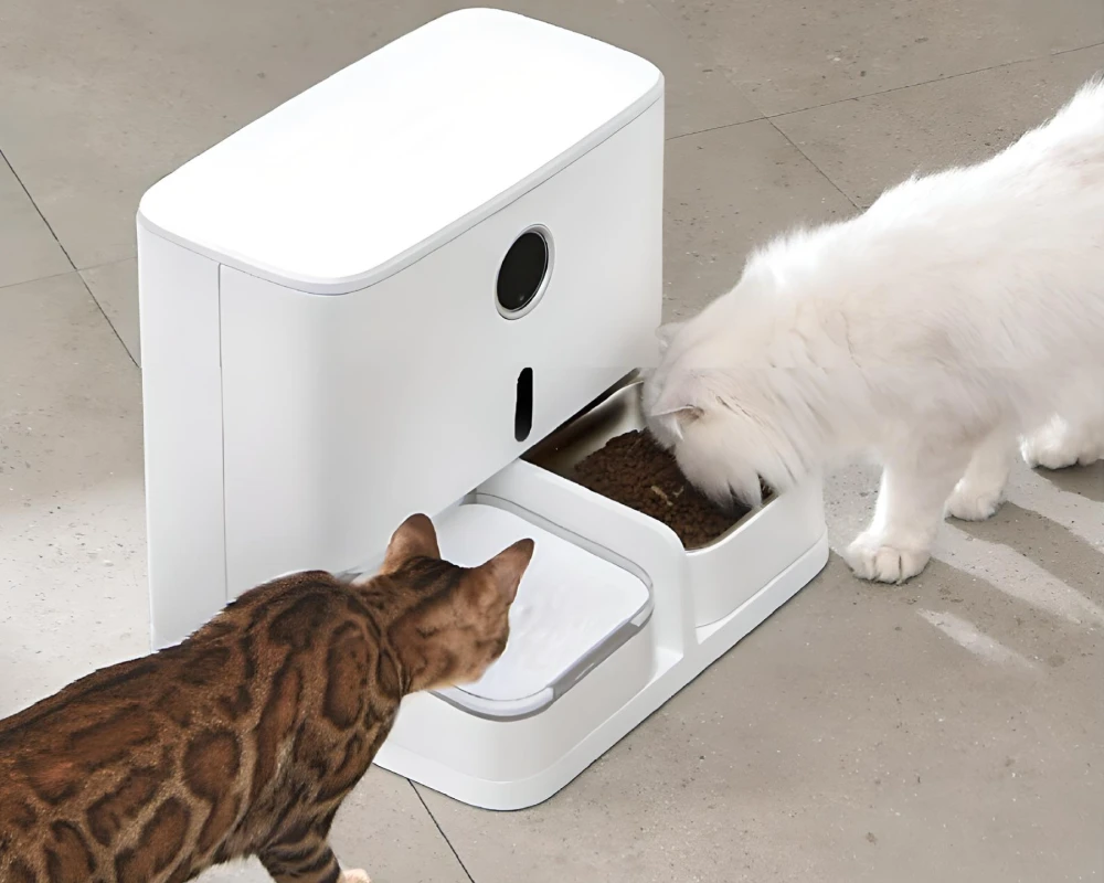 automatic dog feeder station