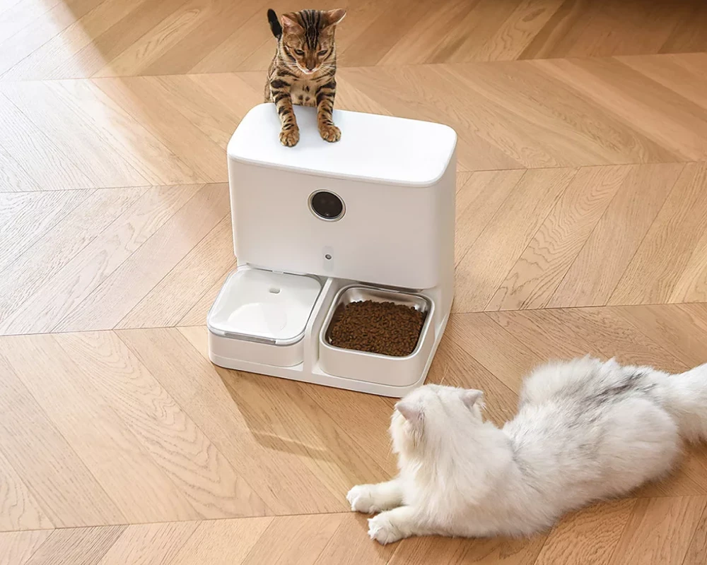 automatic dog feeder with camera