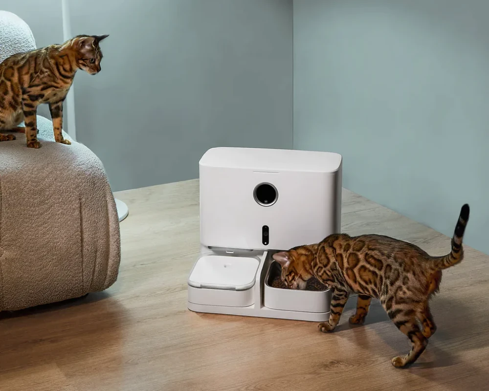 automatic pet feeder for two cats